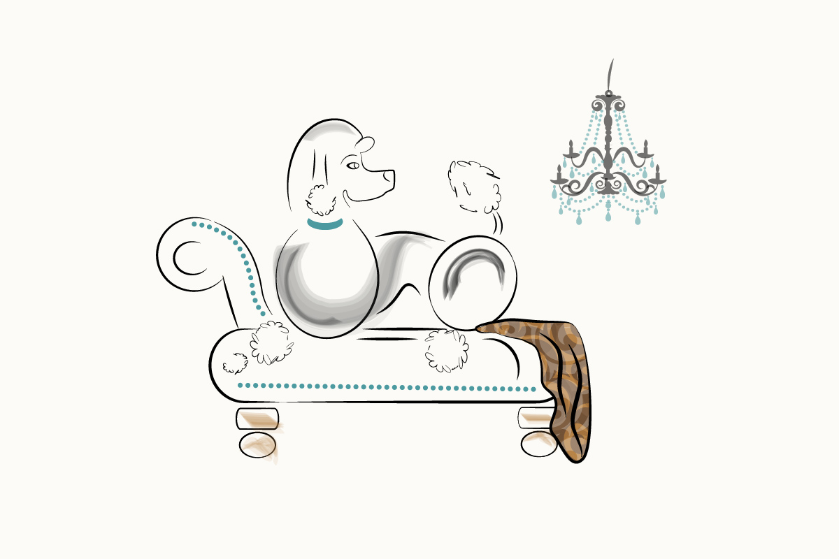 dog furniture illustration